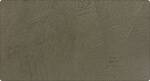 Spatulata plaster sample