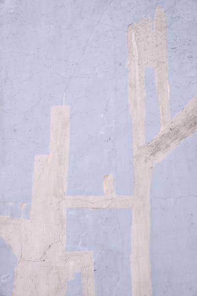 Branching plaster relief on a lilac ground