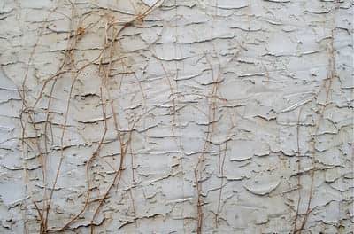 Raised floral relief on cream plaster